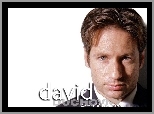 krawat, David Duchovny, koszula